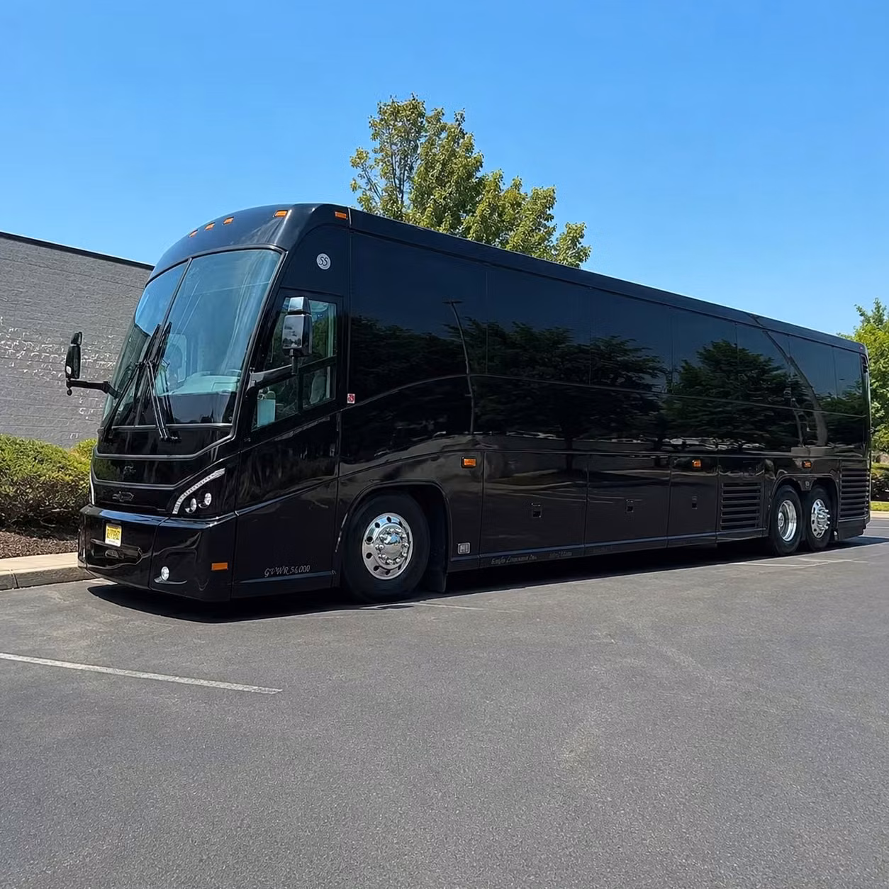 56 passenger charter bus