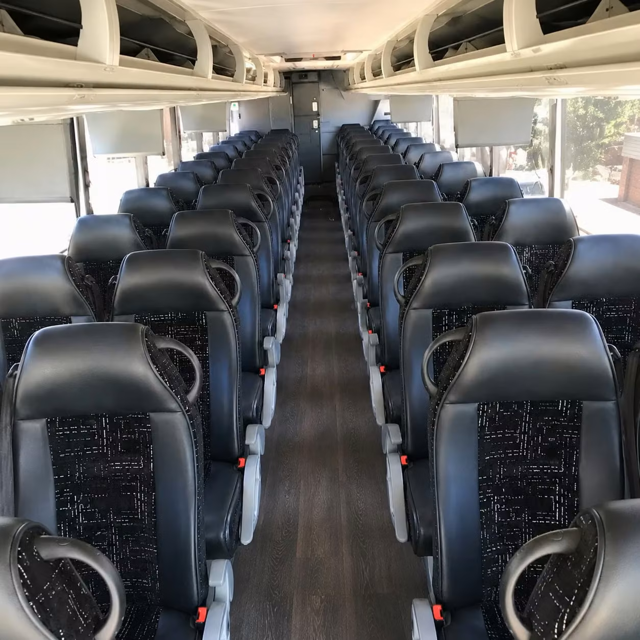 corona concert transportation
